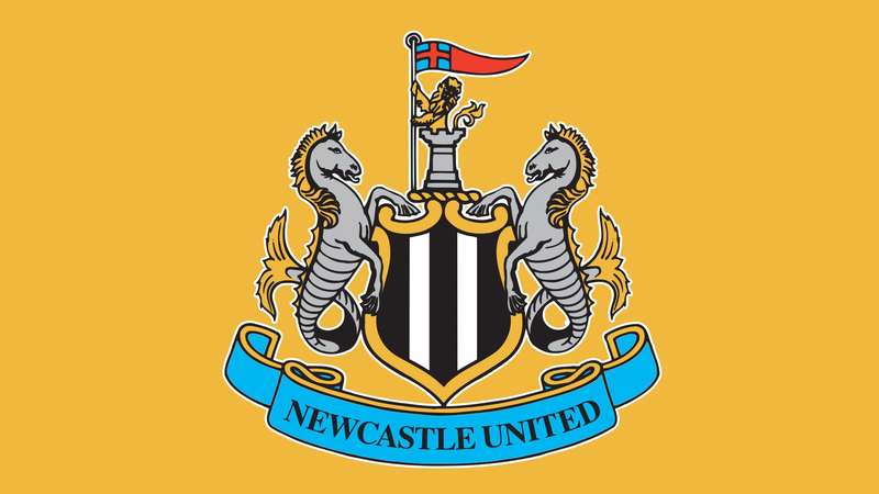  Newcastle United câu lạc bộ nhiều Fan và được mọi người đánh giá cao
