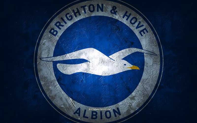 Lịch sử của Brighton Hove Albion